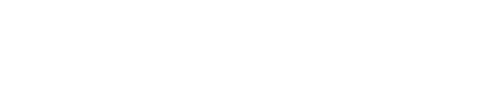 STARGAZER Z
